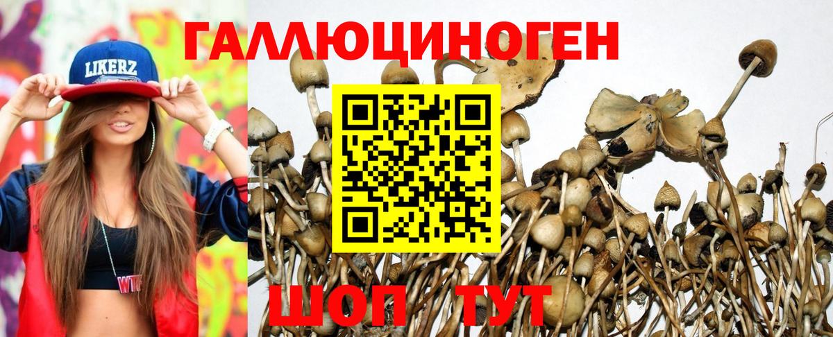 Псилоцибиновые грибы мицелий  Вход с VPN  Галлюциногенные грибы мицелий  Тайшет 